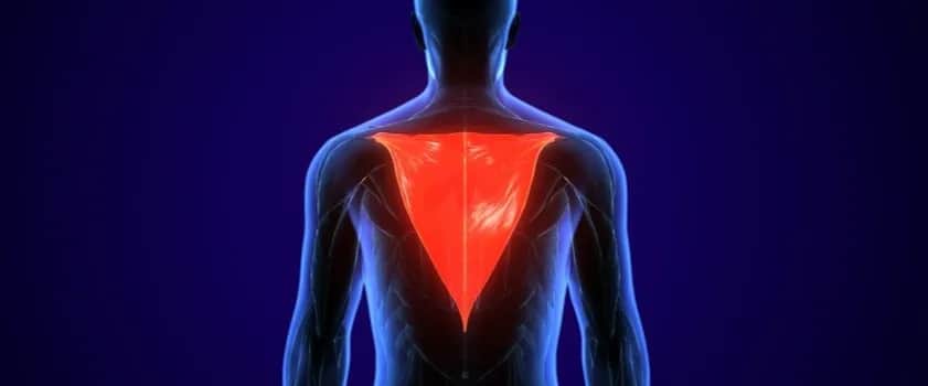 Napięty mięsień czworoboczny objawy – jak uniknąć bólu i dyskomfortu